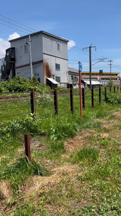 4年振りの函館帰省、たのしかった！の記事動画