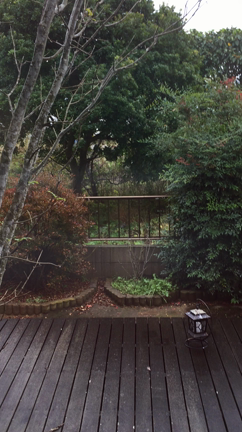 きじ⁈の記事動画