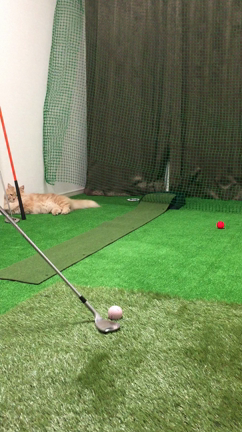 小技磨きの記事動画