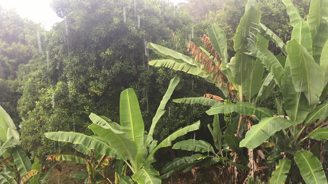 次回のハワイリトリートはハワイ島への記事動画