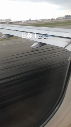 夫婦旅(韓国編)の記事動画