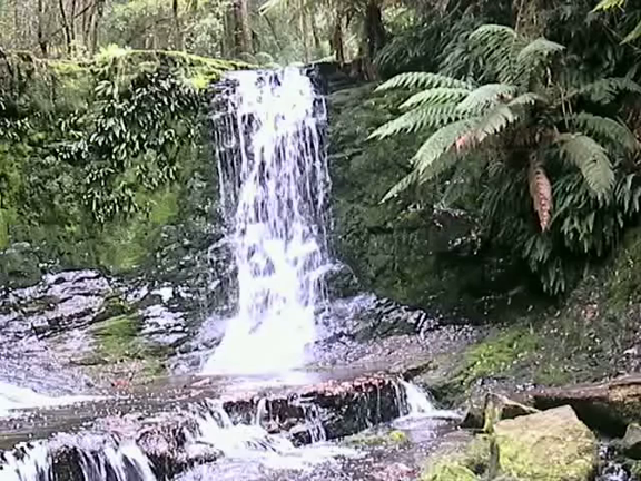 水のジュエリーの記事動画