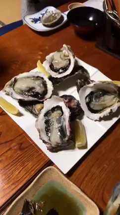 はじめての島根県へ！の記事動画