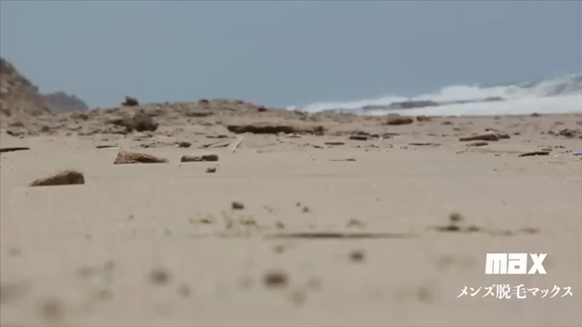 サマーキャンペーン開催決定！！！の記事動画