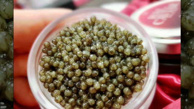 【ワイン資格の活かし方、教えます】世界のVIPを虜にする日本産キャビアの記事動画