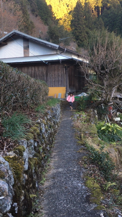 2016年も残りわずか。の記事動画