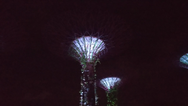 SINGAPORE　ガーデンバイザベイの記事動画