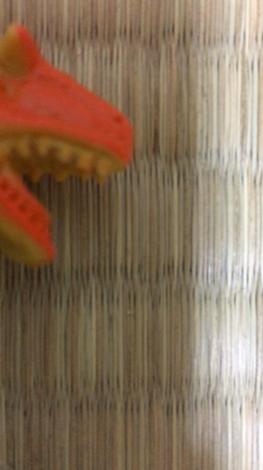 ただの日常に毛が生えた程度のゲーム結果①の記事動画