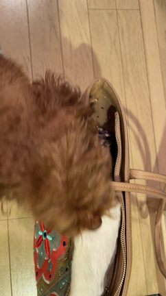 断捨離で学んだモノとのおつきあいの仕方の記事動画