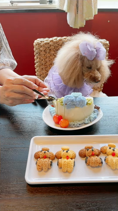 お誕生日会(◍˃̶ᗜ˂̶◍)ﾉ"の記事動画