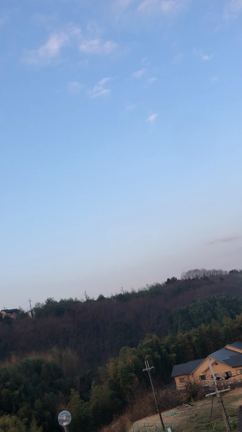 引越し！の記事動画