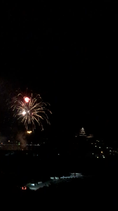 大洲花火♪の記事動画