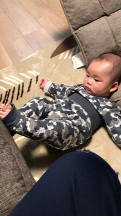 新しい服の記事動画