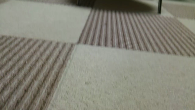 ルーンちゃんが心開きました＾＾の記事動画