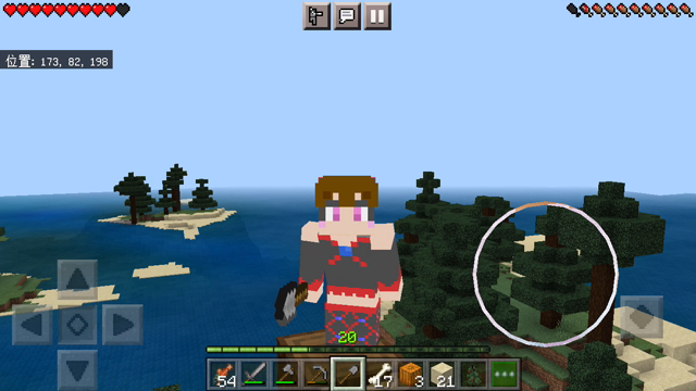 スキン完成の記事動画