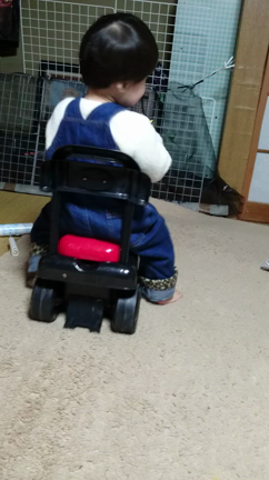 成長Ｏ(≧∇≦)Ｏの記事動画