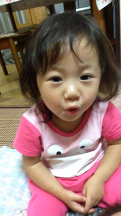 毎日コツコツの記事動画