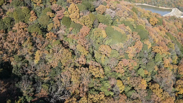 ドローンの記事動画