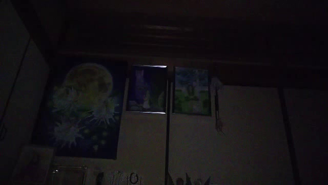 不思議は、どこにでもあるよ(^_^)オーブとか妖精とか見たい人いますか^^の記事動画