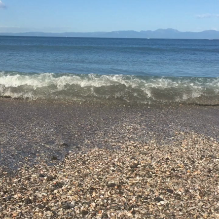 ”あらゆることにおいて「力」を抜くメリット”の記事動画