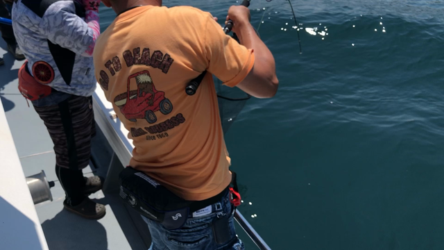 釣果の記事動画