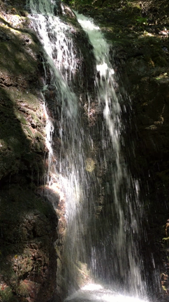 ２０２４年は、準備をしながら豊かさを拡大していこう。の記事動画