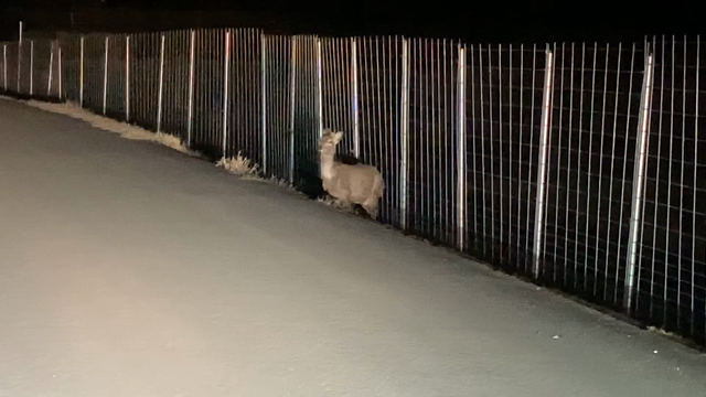 ちょい旅～おまけ編～☆の記事動画