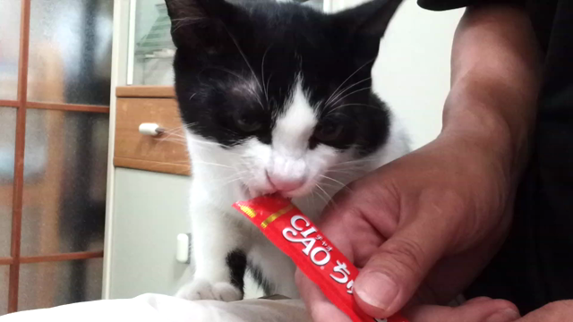 Happy  Birthday!の記事動画