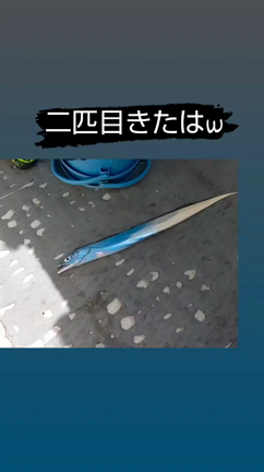 9/23★Tちゃんリクエスト撮影会ありがとうございました(*´∀｀)ﾉの記事動画