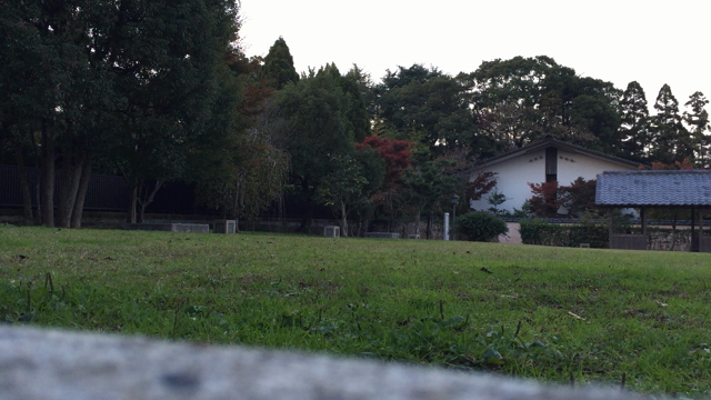 夕方散歩^ ^の記事動画