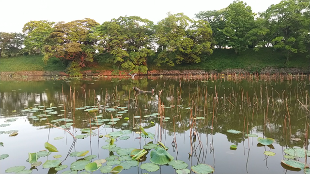 オカダのジショ…を読んだ,私のにこやかな!?日々(;^_^Aの記事動画