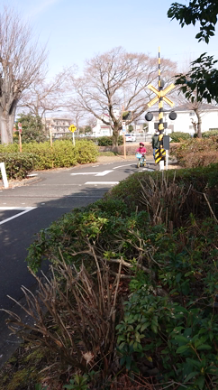 青梅交通公園の記事動画