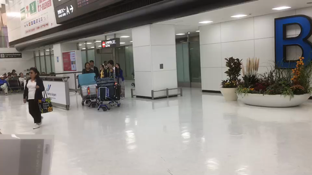 いよいよ明日です♪の記事動画