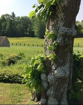 新月、明日！月との付き合い方とは？の記事動画