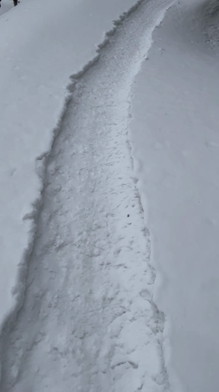 一面銀世界の記事動画