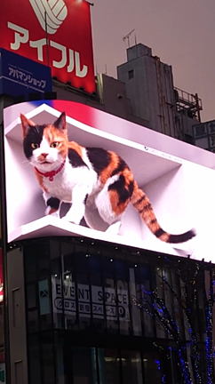 巨大ネコの記事動画