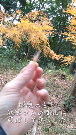 神様、球磨をよろしくお願いしますの記事動画