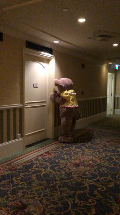 香港ディズニーランドの記事動画