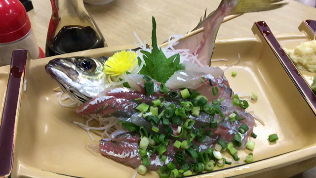 九十九里へ〜の記事動画