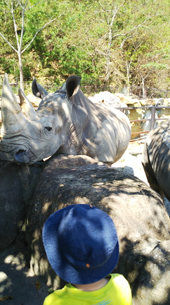 南紀白浜旅行の記事動画