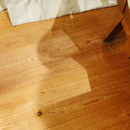 かぼやんは芸達者の記事動画