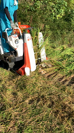 192あべし、稲刈り2021 Abe's grandmother homeの記事動画