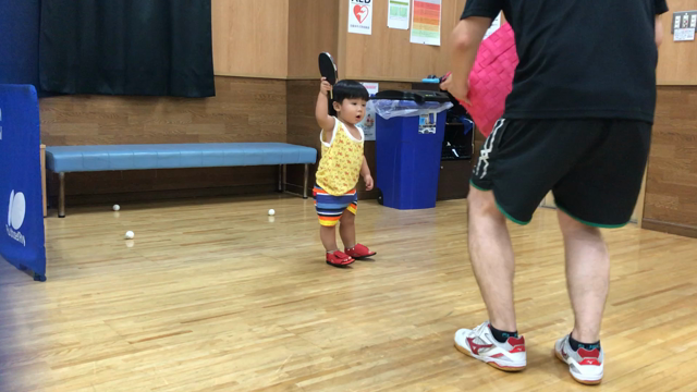 編集期の記事動画