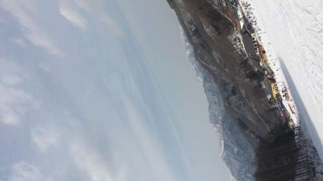 今年はの記事動画