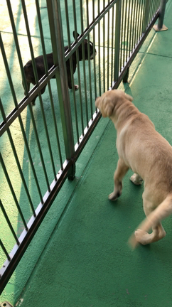 あんちゃん☆の記事動画