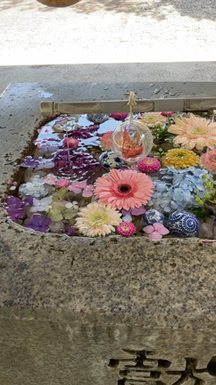 ”爪の縦じわは老化、横じわは過労の証。7月30日の『まいにち漢方 体と心をいたわる365のコ”の記事動画