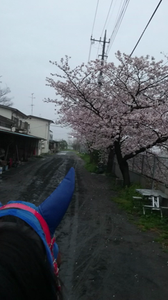 船橋競馬初日と２日目の記事動画