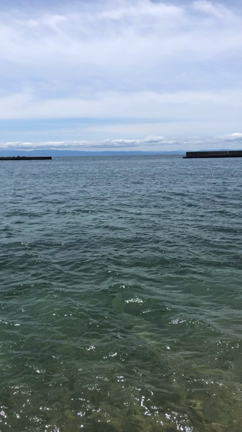 おでかけの記事動画