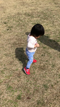 動物園だの花見だのお友達のおうちだのの記事動画