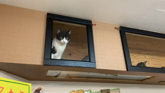 集団ワクチン接種　避難組の様子の記事動画